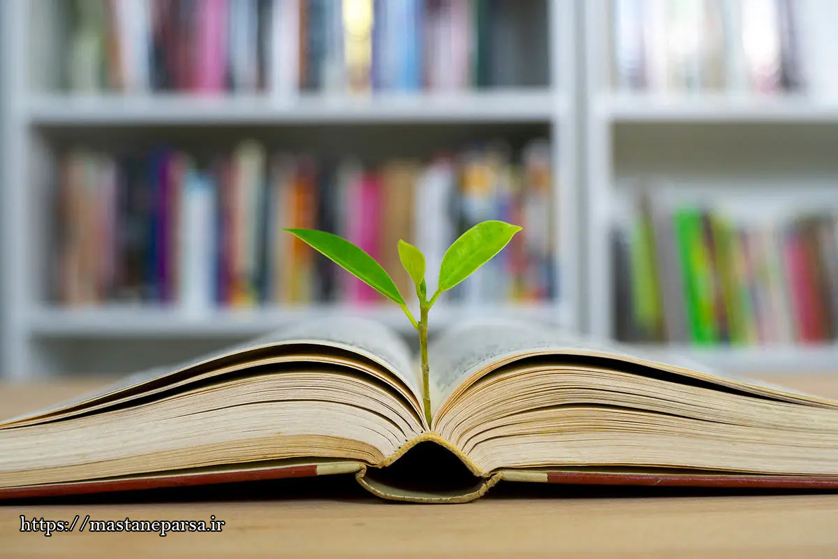 چرا مطالعه برای نویسندگان یک ضرورت است؟